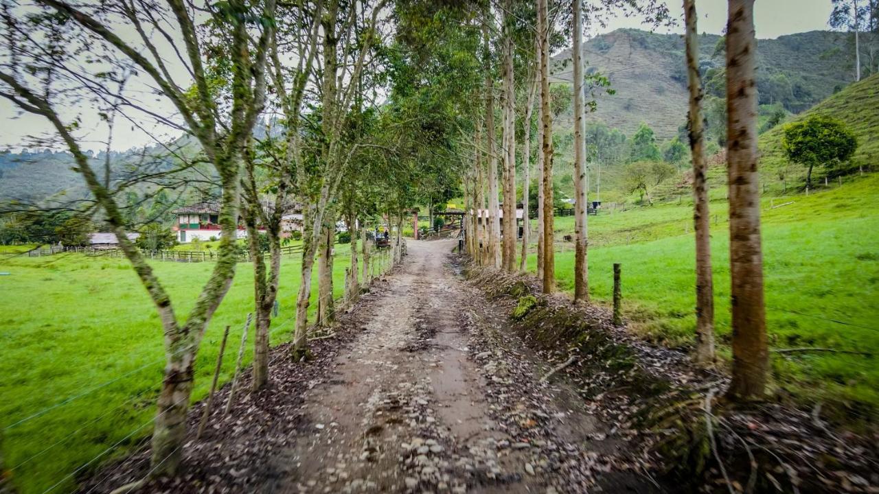 Finca La Playa Ecohotel - Experiencia Campestre - Саленто Екстер'єр фото